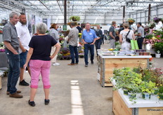 Overzicht van de gedeelte locatie van Kientzler, All Plant, Decock Plants en Plantipp.